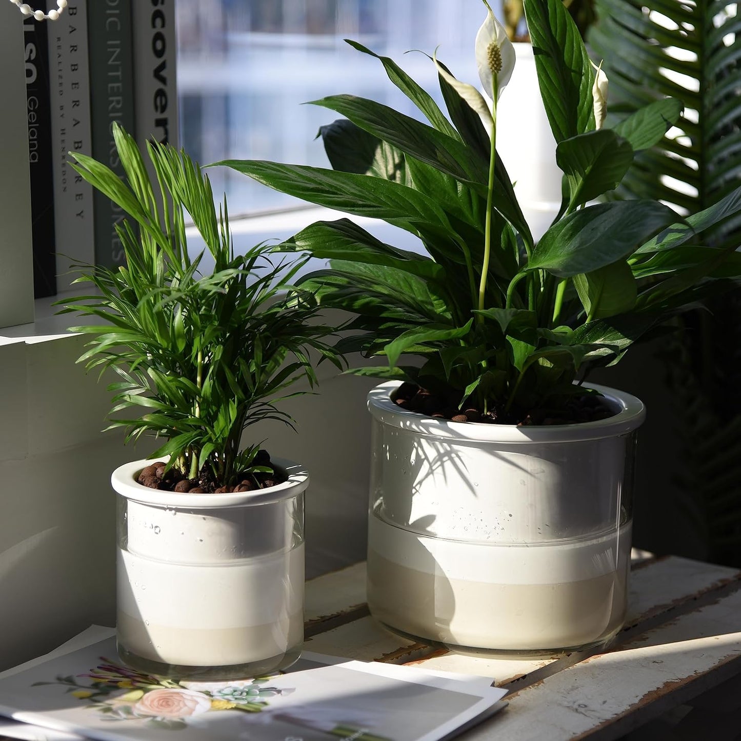 Phoenix Vine 6 Inch 4 Inch Self Watering Planter Pots, Design White Terracotta Pots for Plants, Indoor Cylinder Terra Cotta Pots with Glass Vase Set, 51-B-G-46