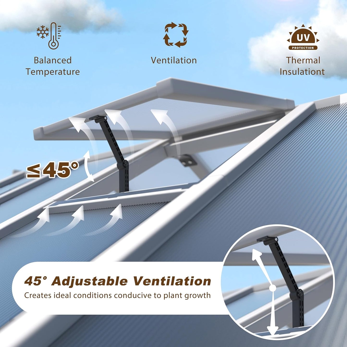 BlueWish 6x10 FT Greenhouse for Outdoors, Walk-in Green House with Cedar Frame, Adjustable Vent, Wood Greenhouses with 6MM Polycarbonate Panel, Greenhouse for Outside, Garden, Backyard, White