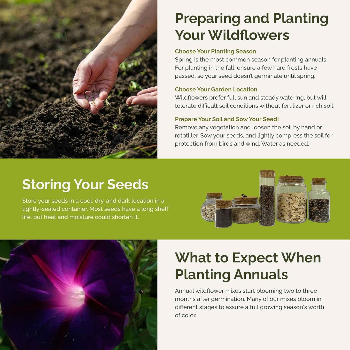 Eden Brothers Colorful Climbers Flower Mixed Seeds for Planting, 5 lb, 2,400,000+ Seeds with Morning Glory, Sweet Pea | Attracts Pollinators, Plant in Spring or Fall, Zones 3, 4, 5, 6, 7, 8, 9, 10