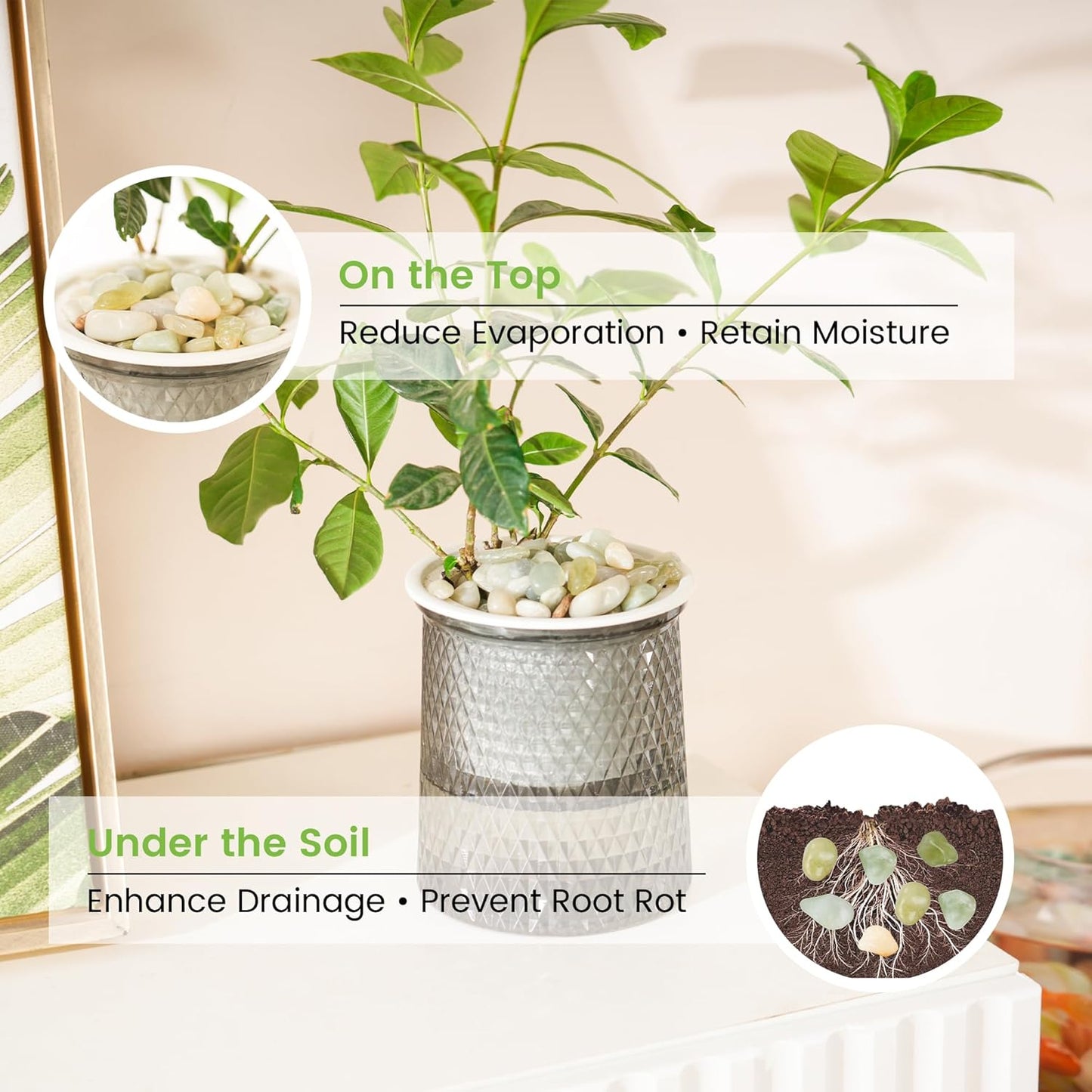 SIDONG 10 LB Jade Pebbles, 2/5 Inch Natural Decorative Polished Jade Stones, Jade River Rocks for Succulents, Cactus, Vases, Indoor Plants, Garden Landscaping, Bamboo