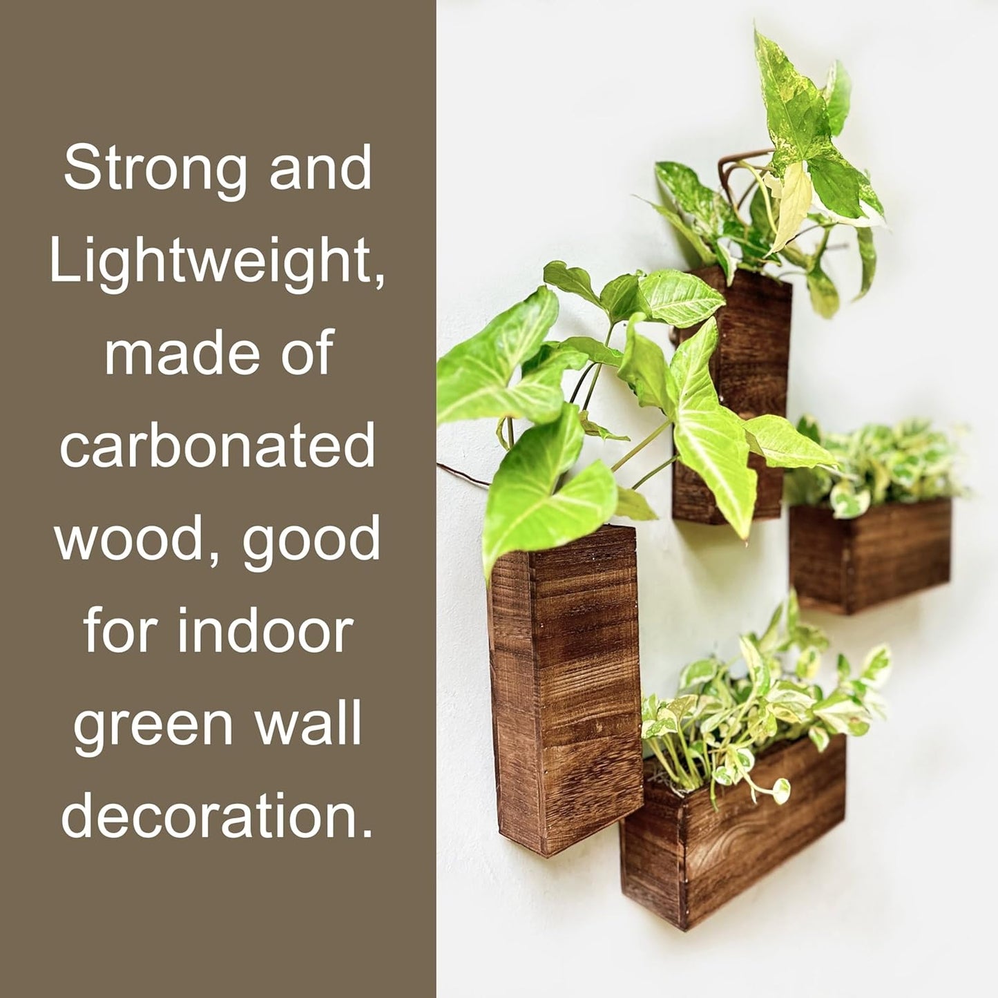 LaLaGreen Wood Planter Box for Plants (4 Pack) Wooden Hanging Wall Planters for Indoor Plant Holder Vase for Dried Flowers, Modern Living Room Bedroom Kitchen Home Office Decor