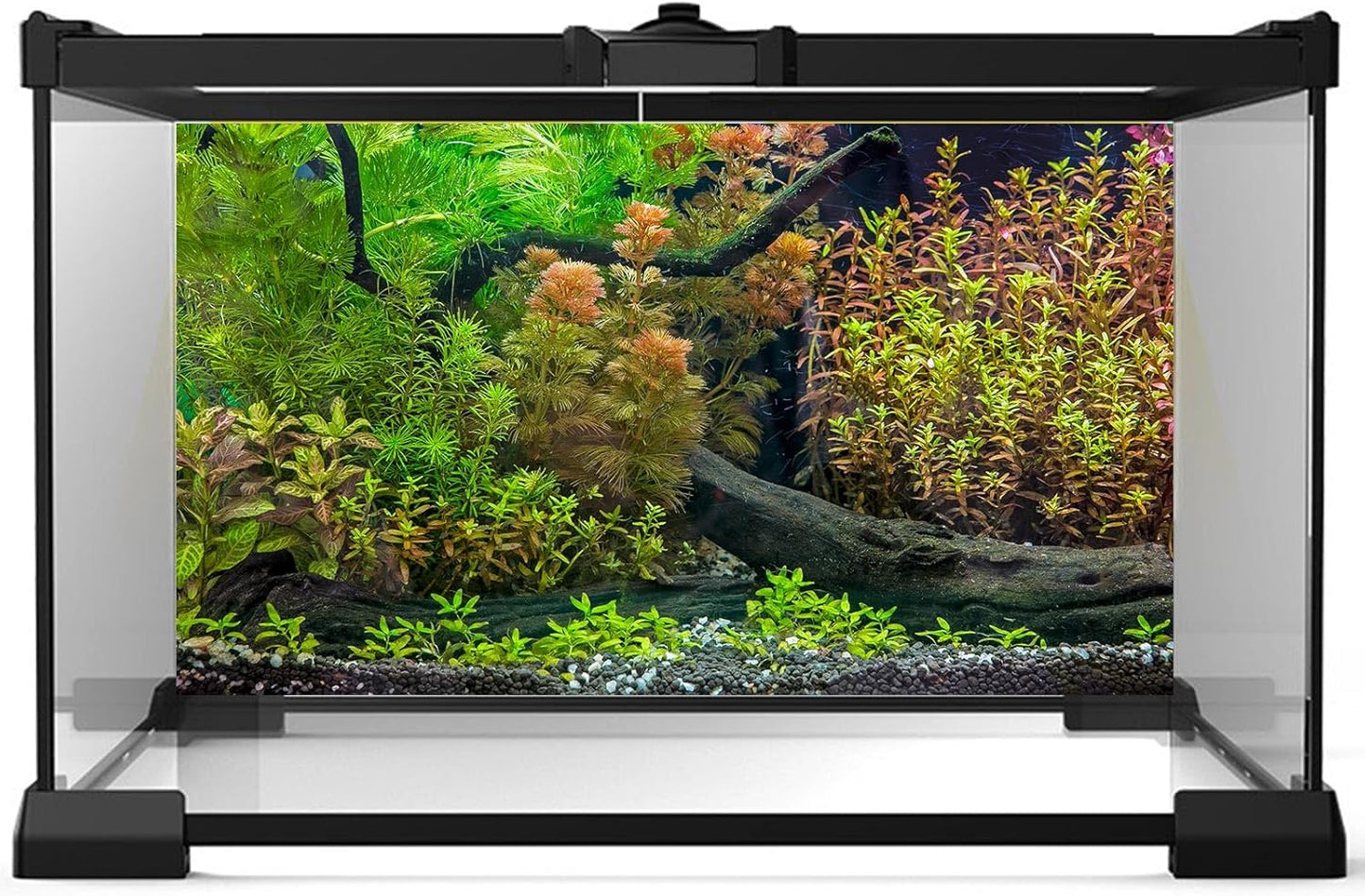 Aquarium Backdrop Underwater Grass Leaves with Pebbles Exquisite Aquarium Background Vivid Green Aquatic Plant Stone River Bed Fish Dead Wood Fresh Leaves Tank Background Decors Vinyl 48x20in