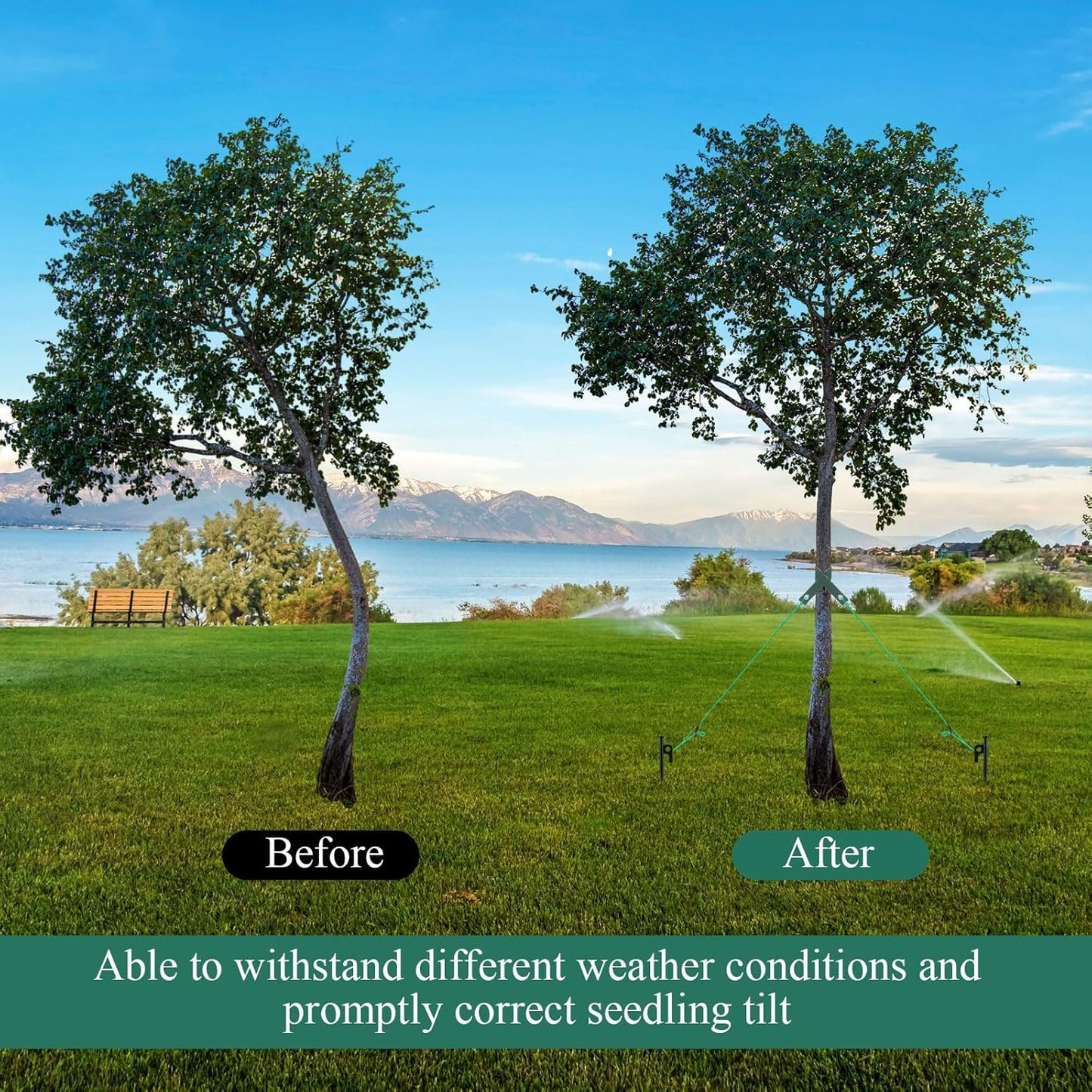 Suzile 60 Pcs Tree Stake Kit, Heavy Duty Tree Staking and Supports for Leaning Trees Include 11. 8'' Steel Stakes 15. 8'' Support Straps 13. 12 ft Ropes for Anchoring Hurricane Protection (Green)