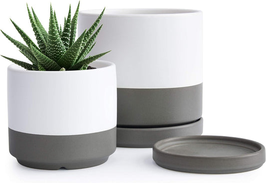 D'vine Dev 4.6 Inch & 6 Inch Ceramic Planter Pots for Plants with Drainage Hole and Saucer, Small Plant Pots Set, White/Speckled Grey, 94-G-S-6