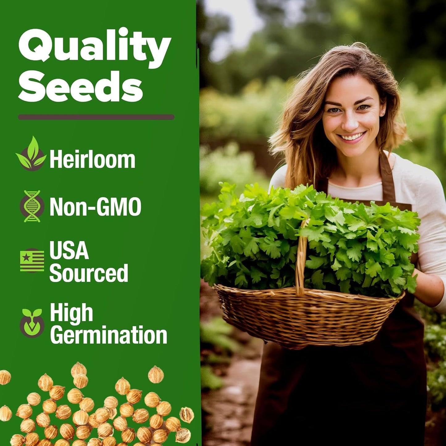 HOME GROWN 𝗨𝗦𝗔 𝗣𝗥𝗘𝗠𝗜𝗨𝗠 1000+ Cilantro Seeds for Planting Indoors or Outdoors - Non-GMO Heirloom Herbs, Coriander Plant Seeds - Complete Your Herb Seeds Collection for Your Indoor Herb Garden