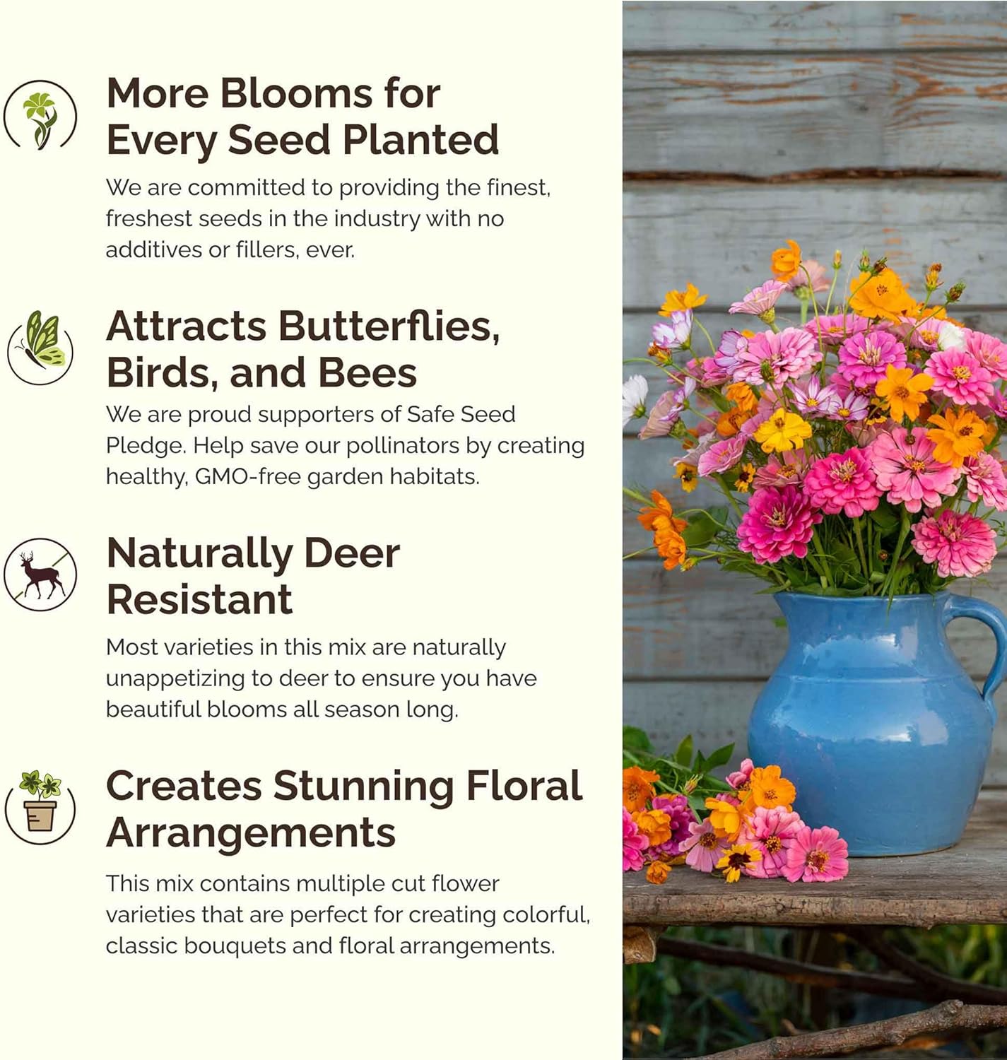 Eden Brothers Orange Sherbet Flower Mixed Seeds for Planting, 1/4 lb, 120,000+ Seeds with Cosmos Picotee, Bright Lights | Attracts Pollinators, Plant in Spring or Fall, Zones 3, 4, 5, 6, 7, 8, 9, 10