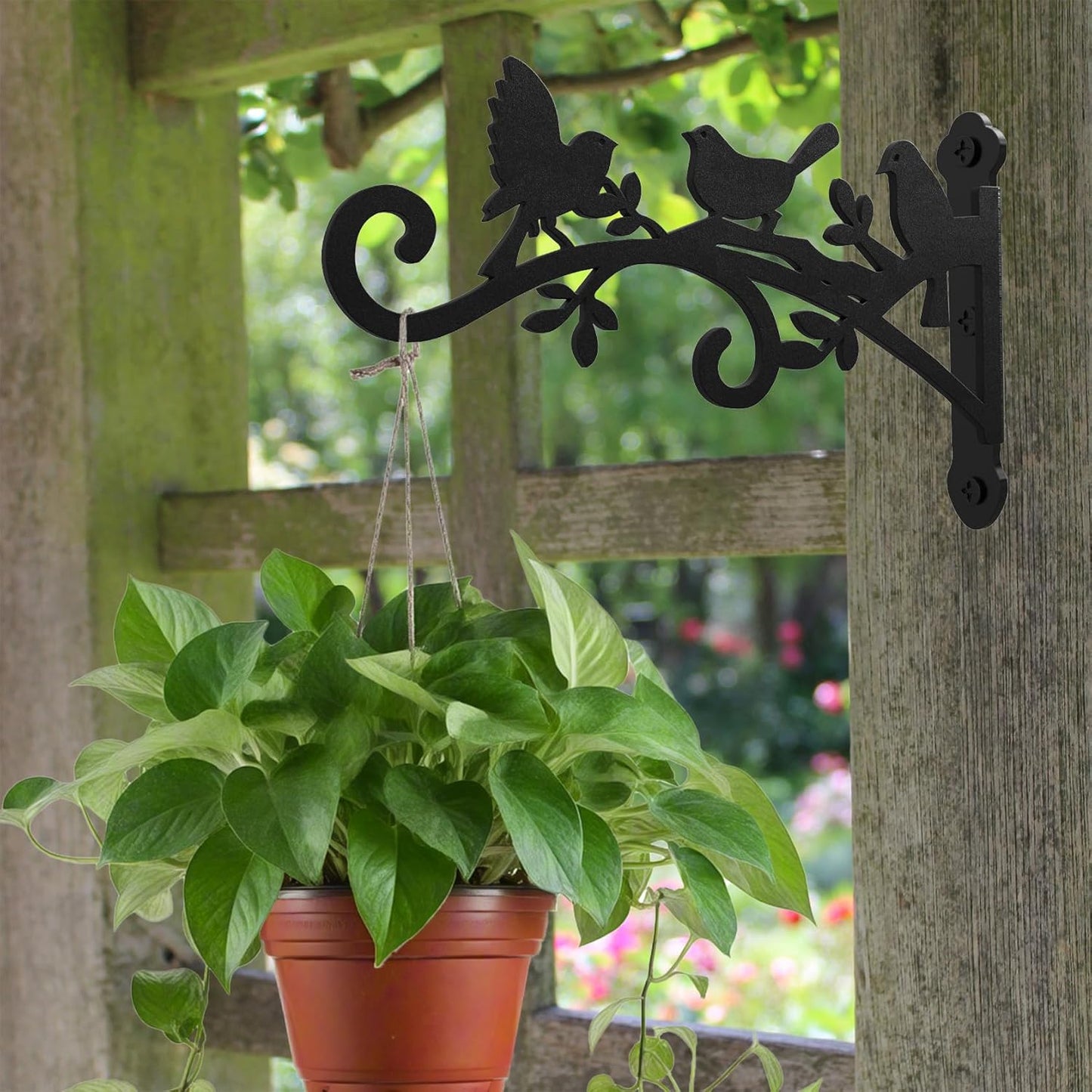 Metal Hanging Plant Bracket with Birdie Pattern 2 Pack – Heavy Duty Plant Hooks for Hanging Flower Baskets，Plants, Bird Feeder, Wind Chime - Indoor/Outdoor Use，Black Matte Texture (9 in)