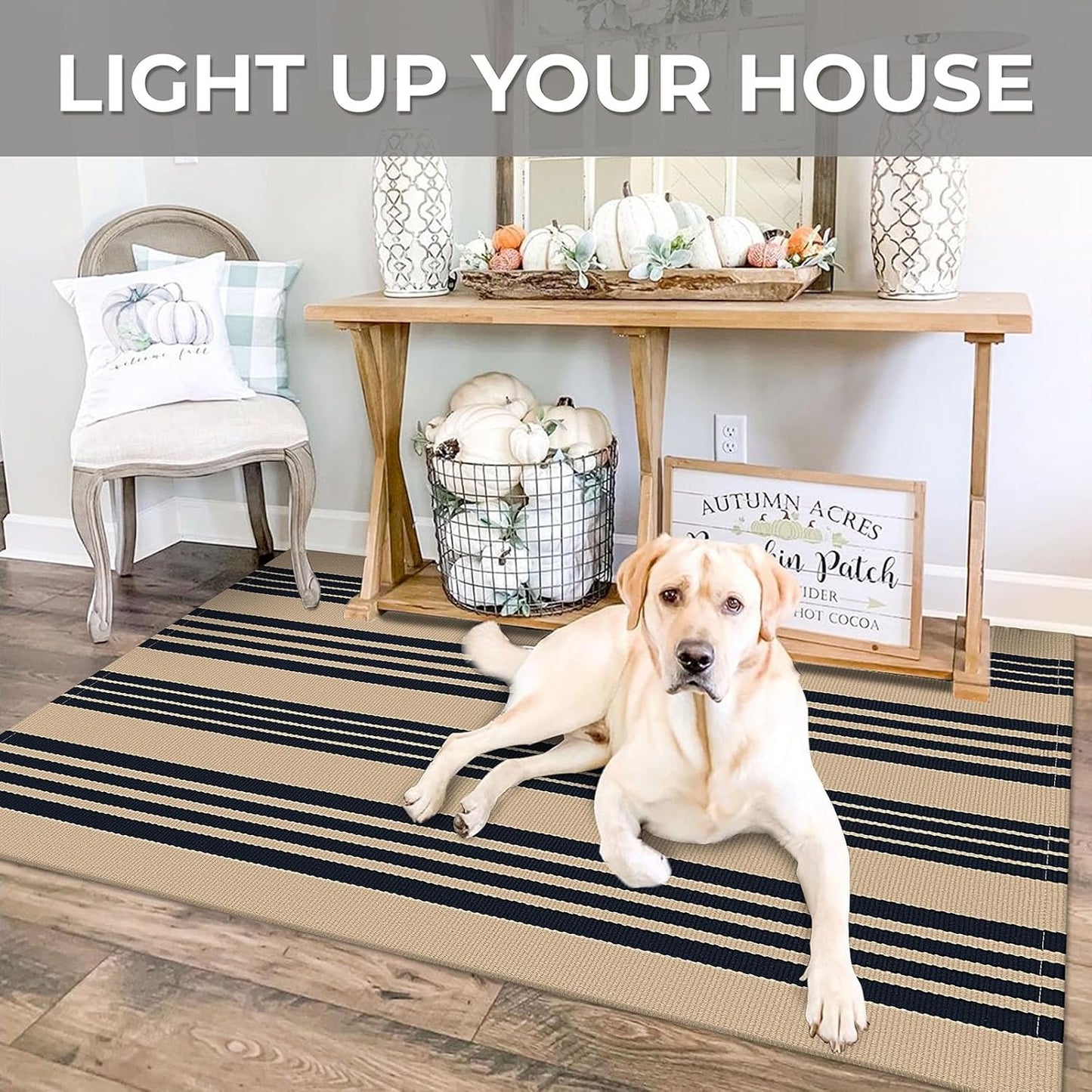 IOHOUZE Black and Tan Striped Rug 3'x5' Front Door Rugs Outdoor, Washable Area Rug for Front Porch, Spring Summer Welcome Mats Outdoor Indoor, Doormat for Entryway Porch Entrance