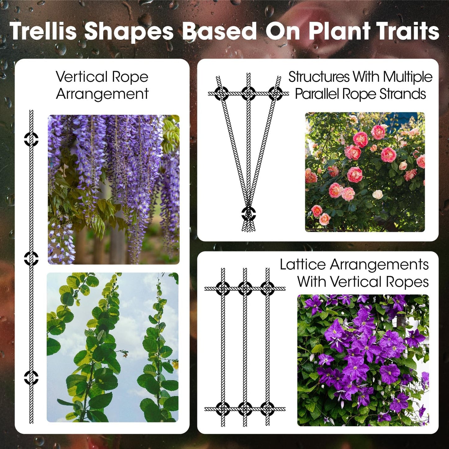 10 Sets Cylindrical Hubs Wall Trellis Kits, Wire Trellis for Climbing Plants Outdoor with 53Ft x 1/8" T316 Stainless Steel Rope, Garden Wire Trellis System for Espalier & Vertical Gardening