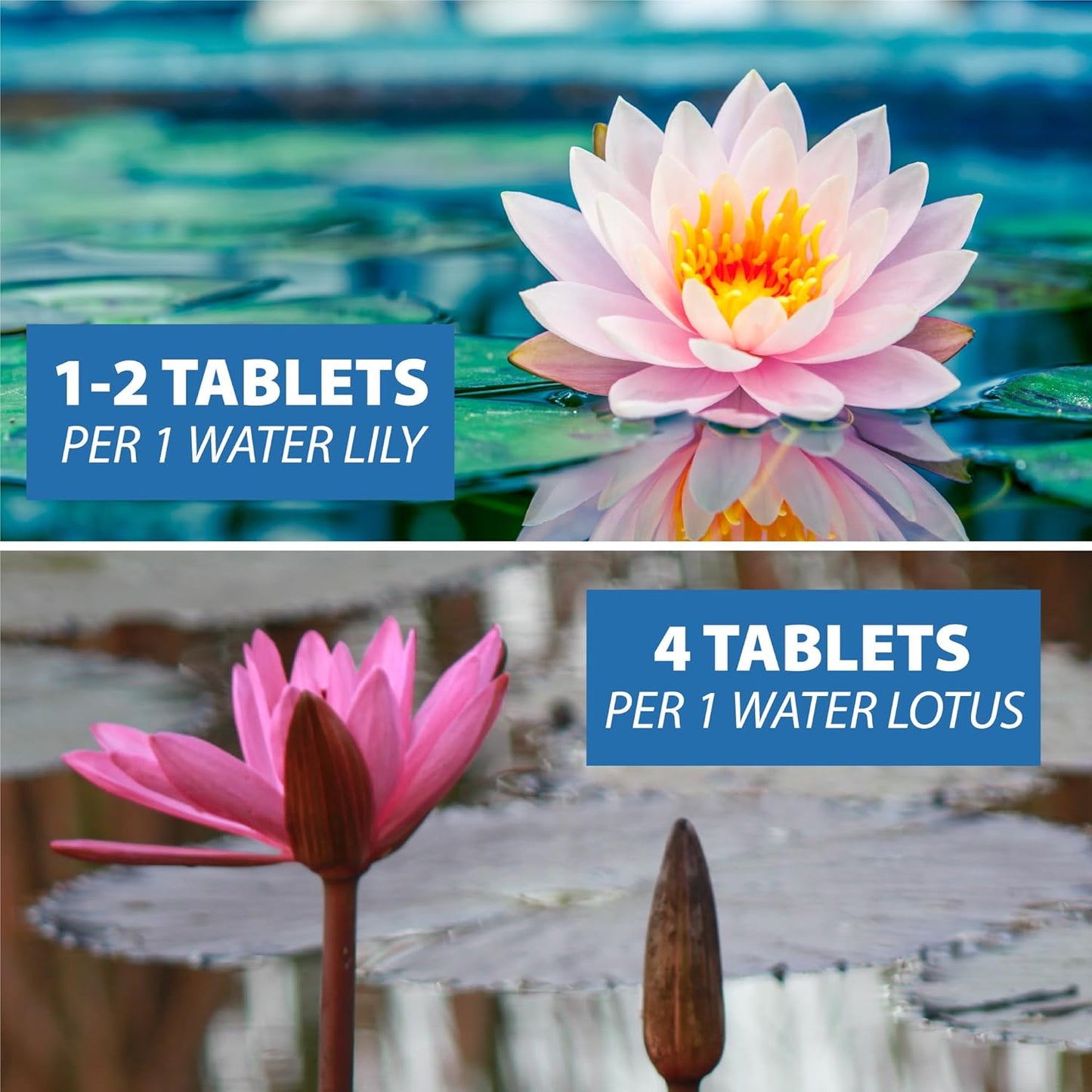 CrystalClear Thrive Aquatic Pond Plant Food, Fish Safe Water Garden Fertilizer, Nutrients Boost Lily & Lotus Flower Bloom & Root Growth, 200 Tablets