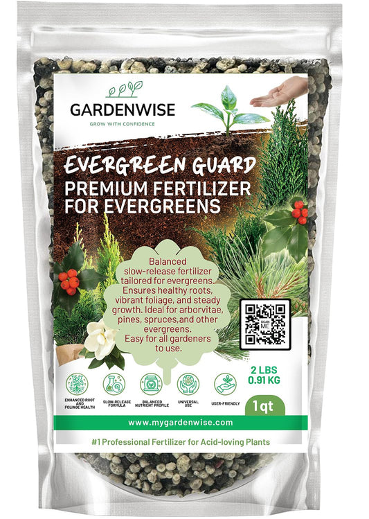 Evergreen Fertilizer – All-Purpose Granular Plant Food for Outdoor Trees and Shrubs, Azaleas, Magnolias, Pines & Arborvitae – Slow-Release Formula (1/2 Quart)