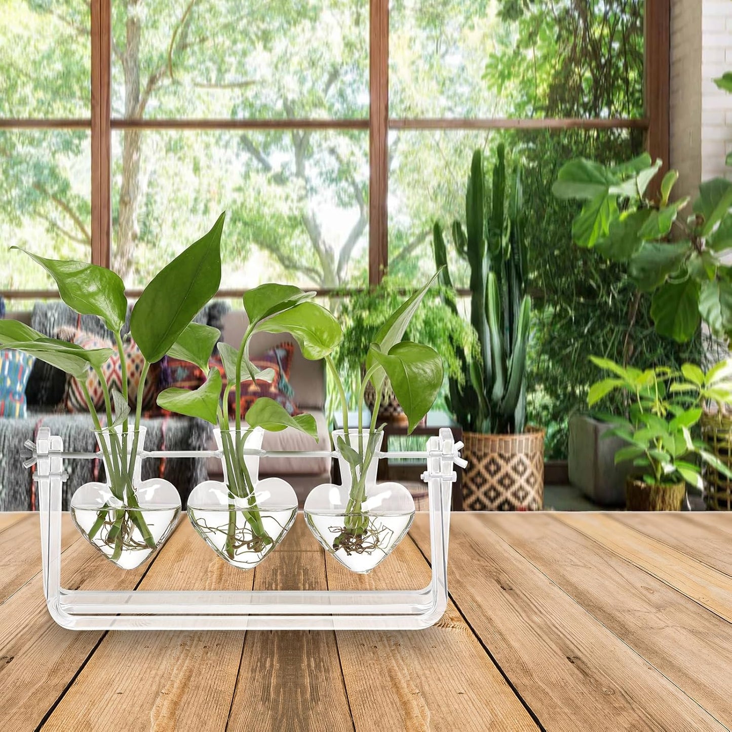 Plant Terrarium Propagation Stations with Acrylic Stand Birthday Gifts for Women Plant Stand Indoor Office Home Decor