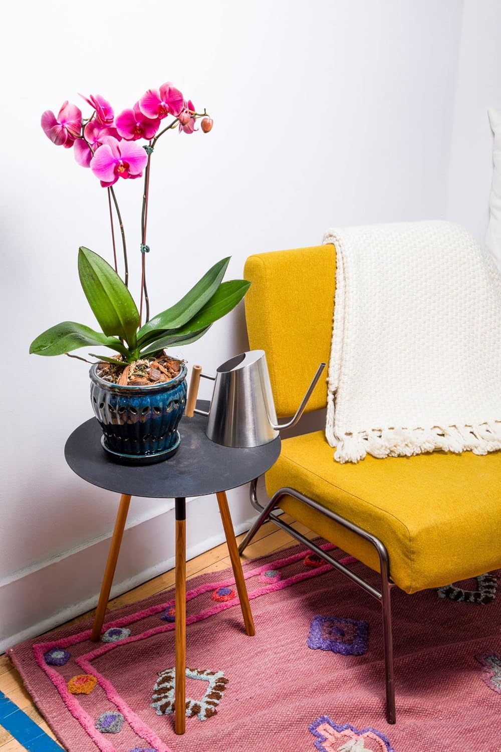 rePotme 6" Pinwheel Fluted Ceramic Plant Pot (Honey Cream Over Coffee) - - Includes Free 6 inch Slotted Pot Liner - Great for Orchids, Succulents, and All Indoor Plants