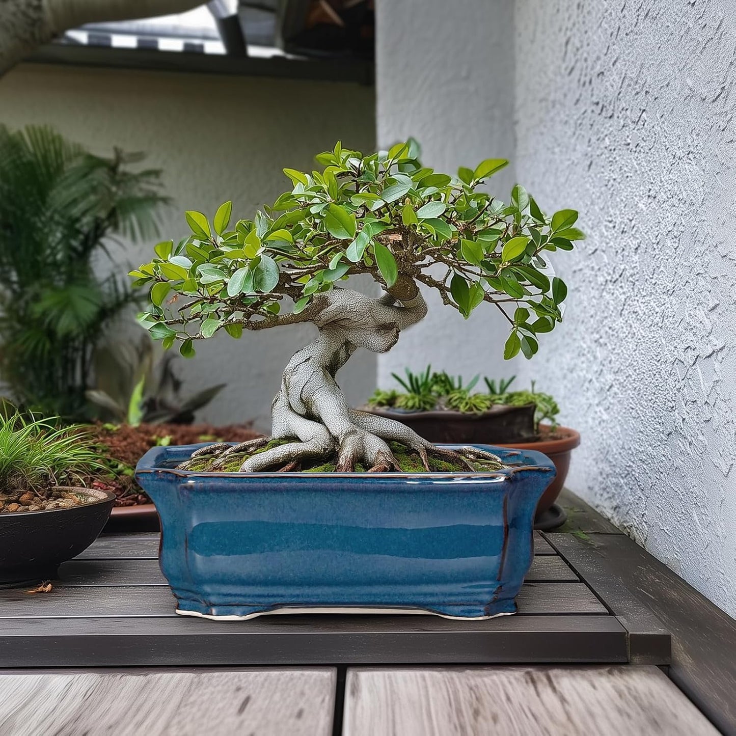 Bonsai Tree Pot - 13.7 Inch Large Ceramic Succulent Planter for Indoor Outdoor, Rectangle Plant Pot with Drainage Hole, Decorative Flower Pots, Home Decor, Gifts for Plant Lovers, Retro Blue