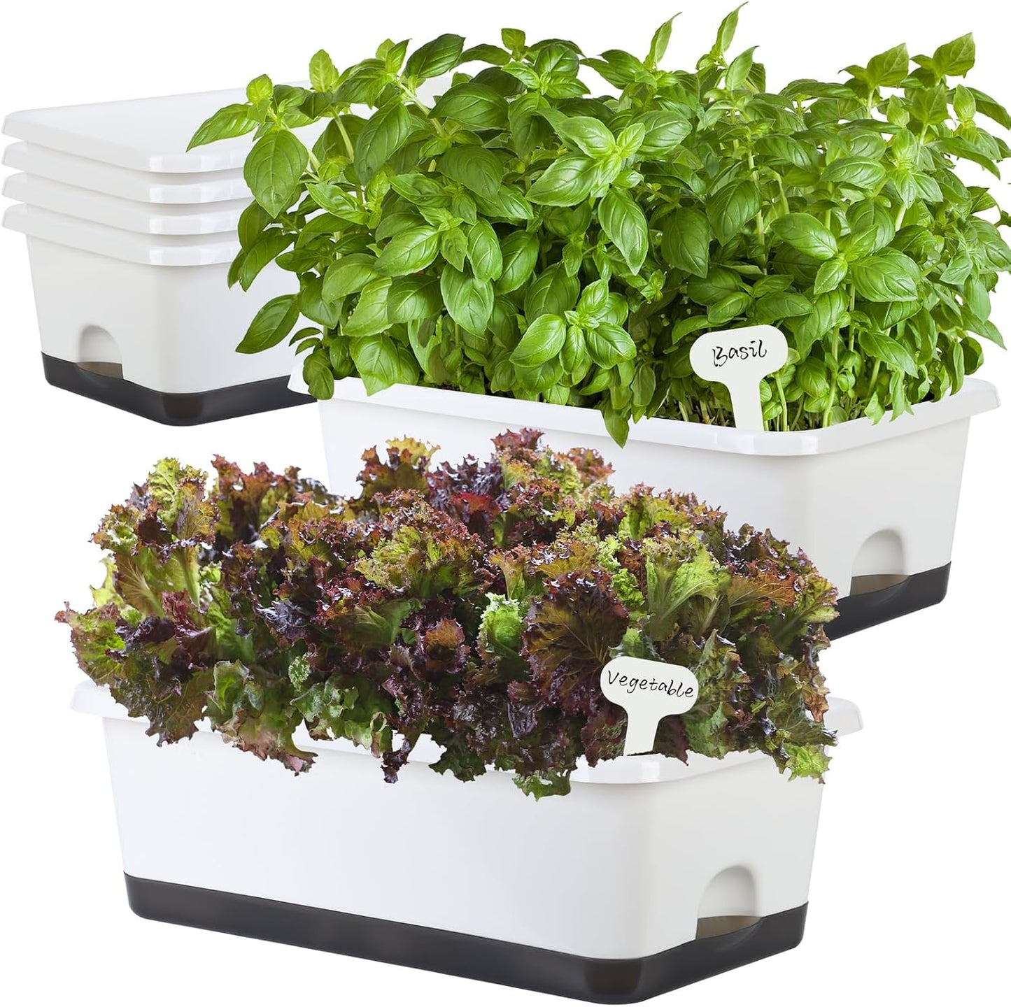 Window Box Planter 6 Pcs, 18 Inches Rectangle Flower Pots with Drainage Holes and Trays, Vegetable Planters for Windowsill Patio Garden Balcony Home Porch Yard Indoor Outdoor (White, 18*10*6 inch)