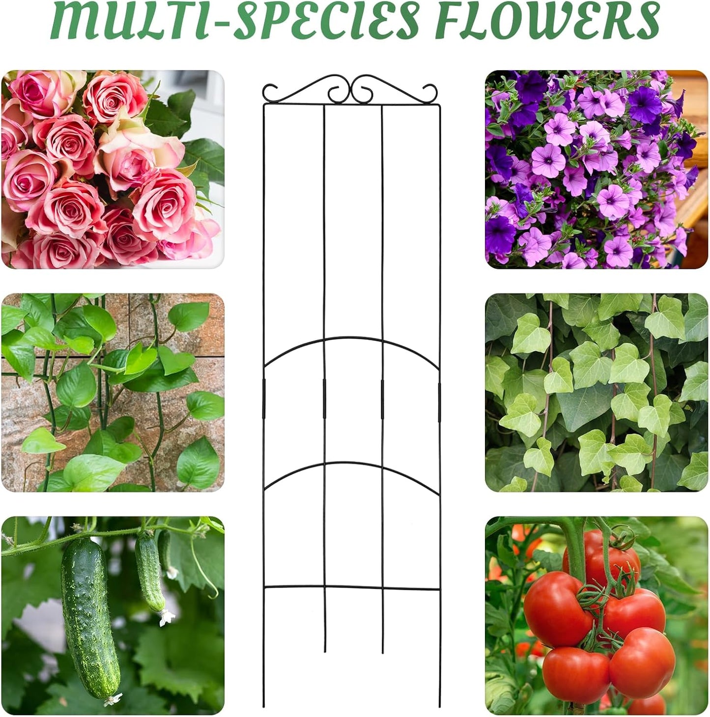 4 Pack 32'' Plant Trellis Indoor - Metal Trellis for Climbing Plants Indoor, Garden Trellis for Climbing Plants Outdoor Houseplants Flowers Vine Ivy, Rectangular Shape, Black