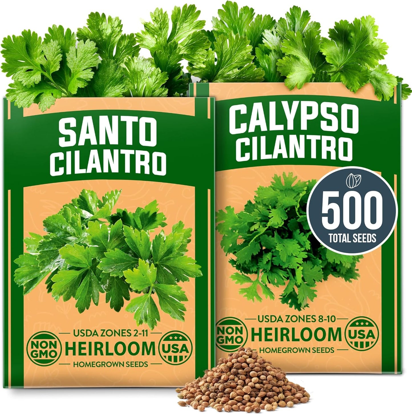 HOME GROWN Cilantro Seeds 250 Calypso & 250 Santo Cilantro for Planting Indoors, Hydroponics or Aerogarden - Heirloom, Non-GMO, Santo Plant, for Your Indoor Herb Garden