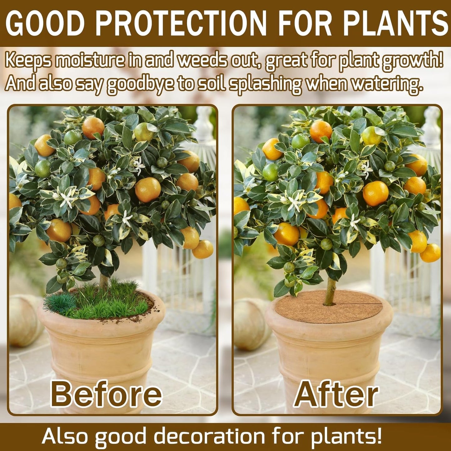 ZeeDix 3 Pack 12 Inch Coconut Fiber Mulch Ring, 100% Natural Coco Coir Tree Ring Mulch Mat Plant Protector Mat, Coconut Coir Discs Plant Pot Soil Cover for Indoor Outdoor Plants, Garden Decoration