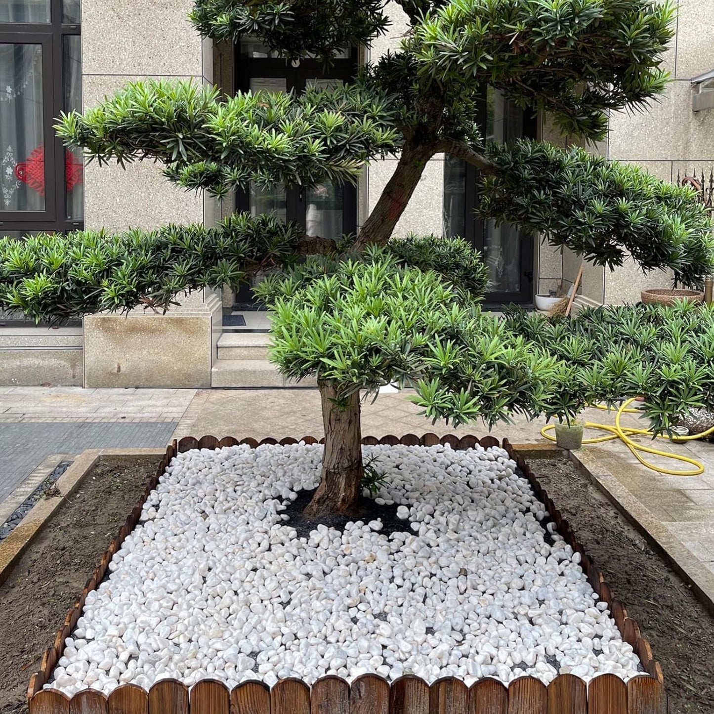 40 lbs White River Rocks for Garden, 2-3 Inch Large Aquarium Gravel. Decorative Stones for Plants, Vases, Cactus, Landscaping and Home Decor