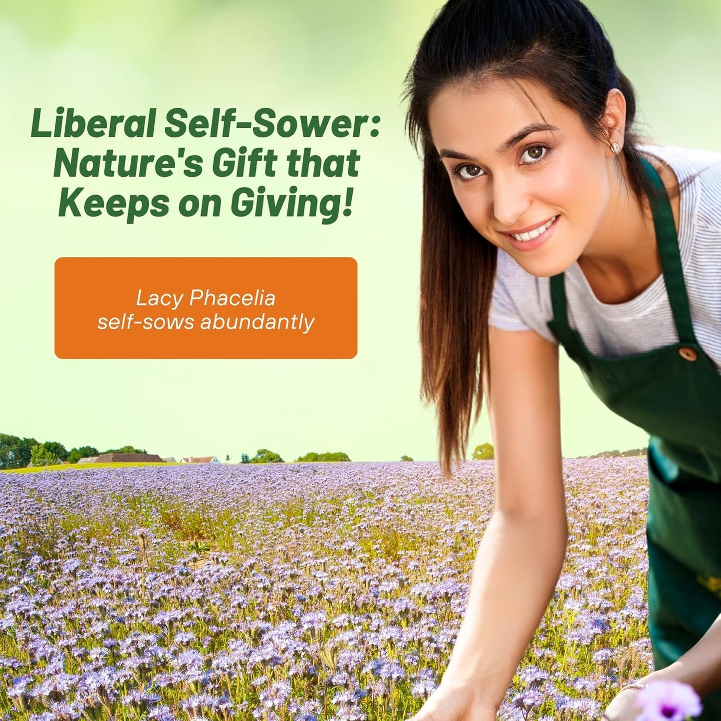 Outsidepride Lacy Phacelia Seeds for Planting - 5 Lbs. Annual, Drought-Tolerant Wildflower Seeds with Light Violet Flowers, Ideal for Pollinator Gardens, Erosion Control, & Attracts Bees & Butterflies