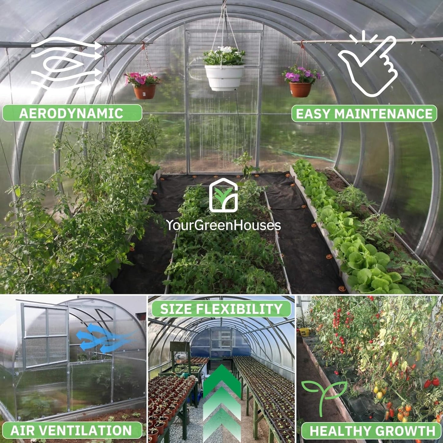 Polycarbonate Tunnel Greenhouse, Weather Resistant & Easy Assembly Greenhouses - Expandable Greenhouse for Outdoors, Garden House Tunnel with 6 Bonus Accessories & 10 Yr Frame Warranty(10x13 FT)