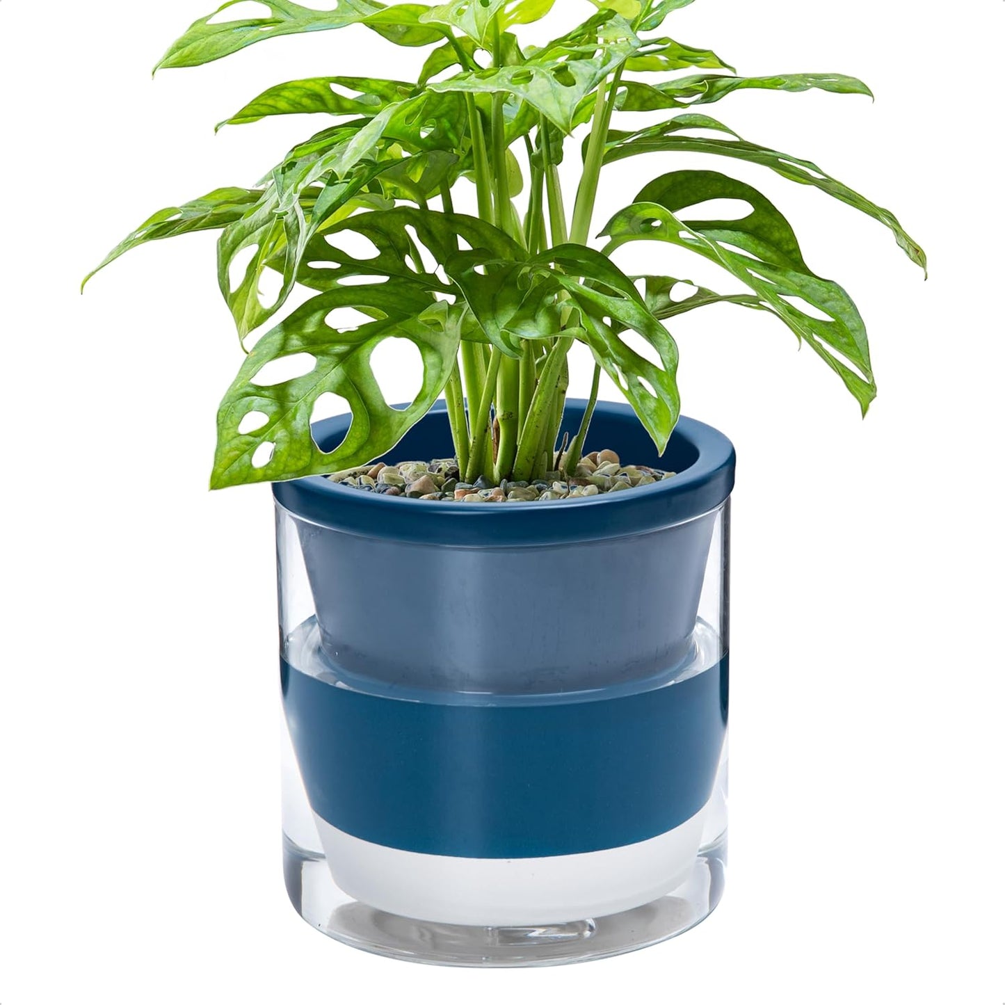 D'vine Dev 6 Inch Design Self Watering Planter for Indoor Plants, Blue Terracotta Pot with Cylinder Glass Cup, 37-X-B-4