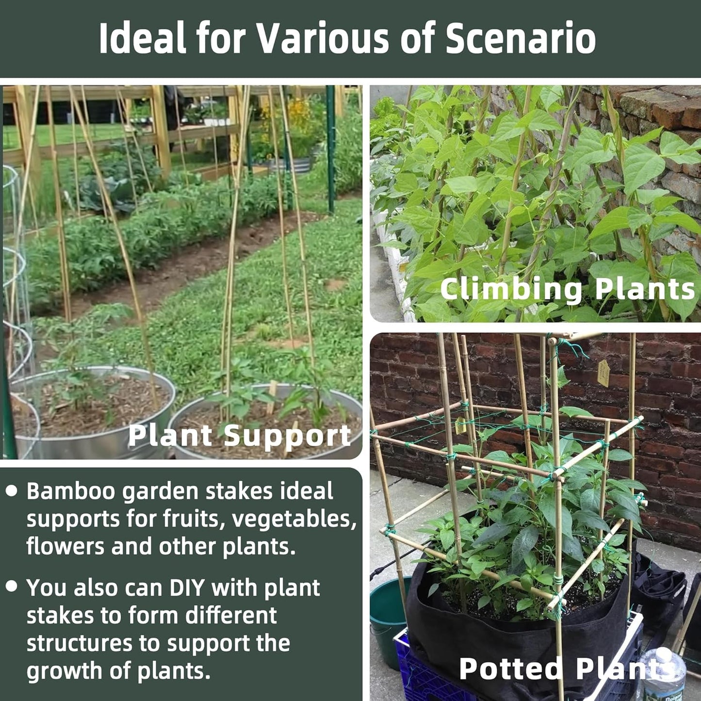 50Pcs / 6ft Bamboo Plant Stakes for Indoor Outdoor Plants, Garden Plant Support Sticks, Poles for Tomato Vegetables Beans Trees Potted Climbing Plants(0.32''-0.4'')