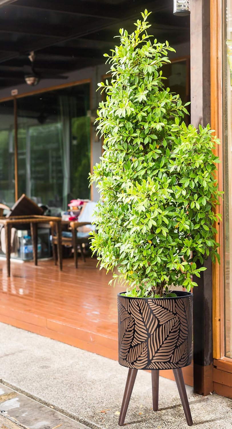 D'vine Dev 12 Inch Planter Pot with Stand, Mid-Century Tall Plant Pot with Legs for Indoor Plants, Large, Bronze/Grey, 88-L-C-6