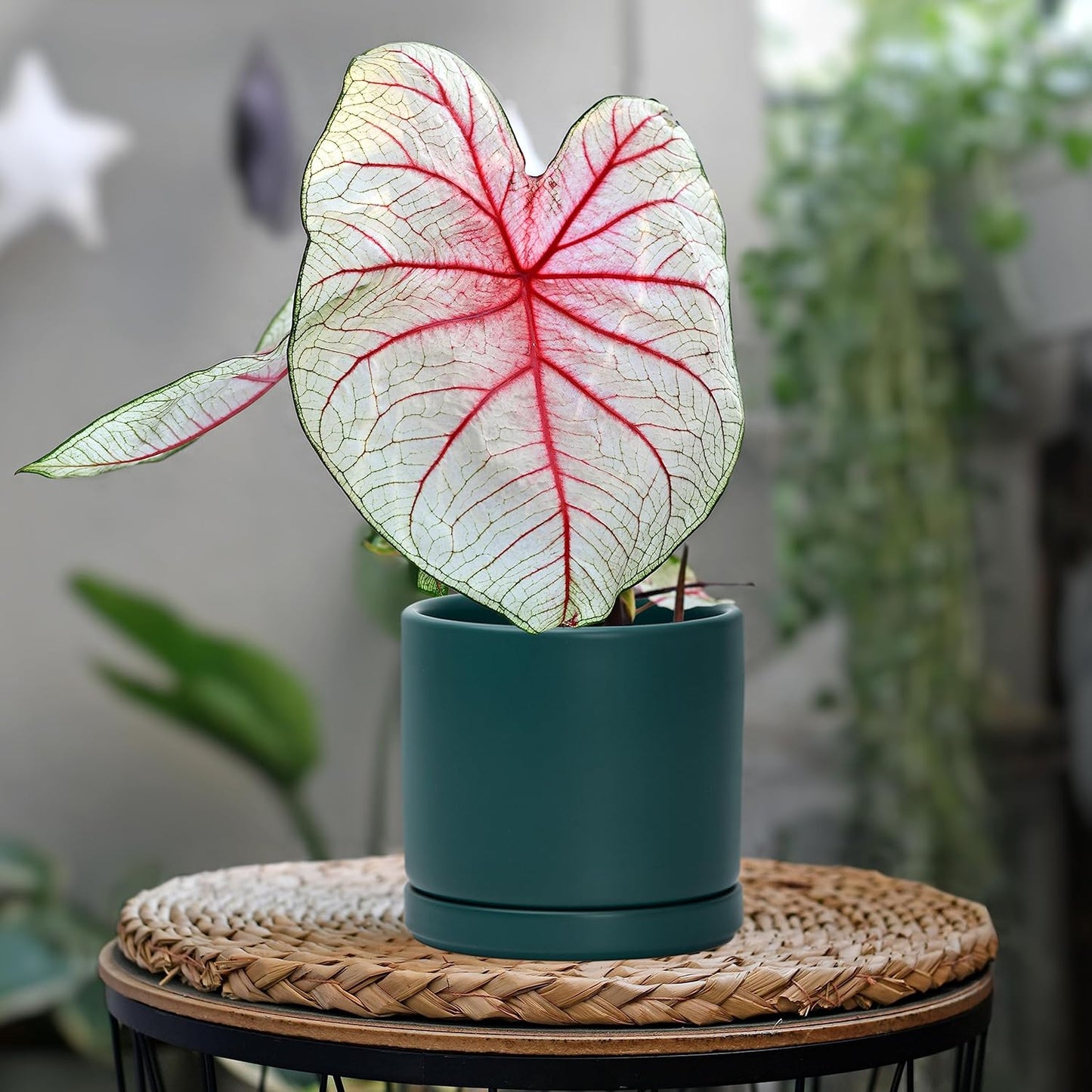 D'vine Dev Set of 2 Plants Pots, 4.6 Inch Ceramic Planter Pot for Plants with Drainage Hole and Saucer, Teal, 94-V-B-9