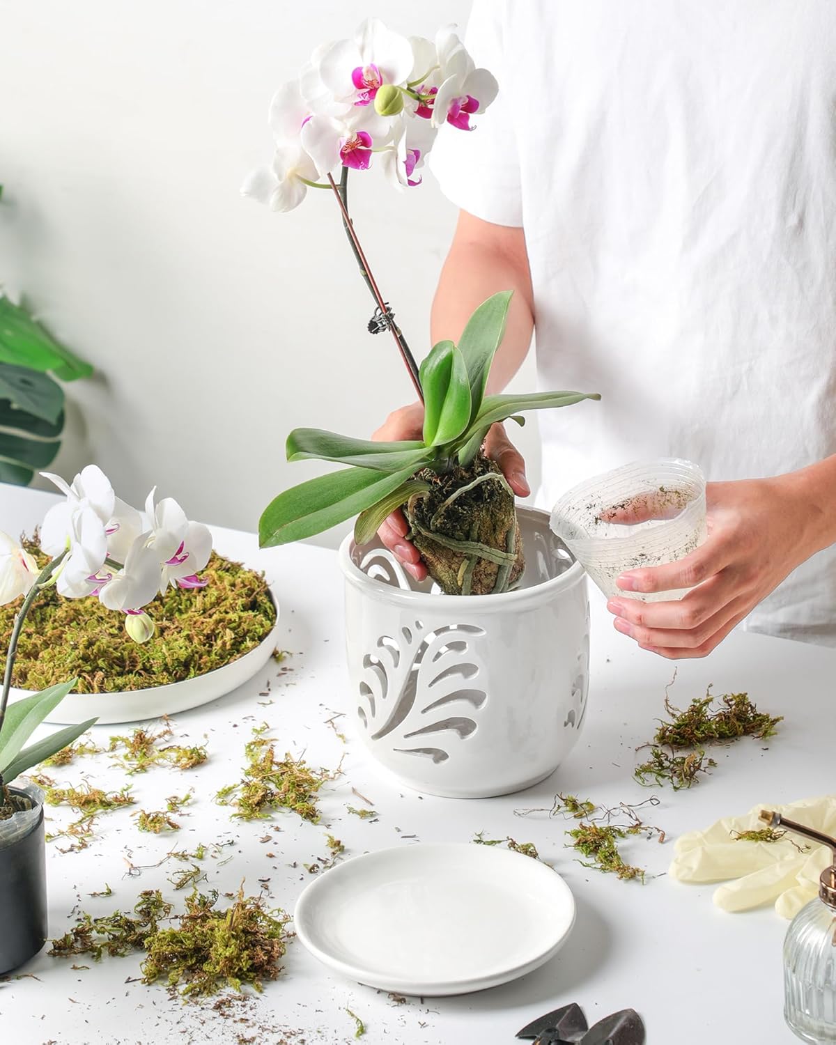 Ceramic Orchid Pot, 6 Inch Orchid Pots with Holes and Saucer for Indoor/Outdoor Plants Drainage & Air Circulation, White Orchid Planter for Repotting or New Plants