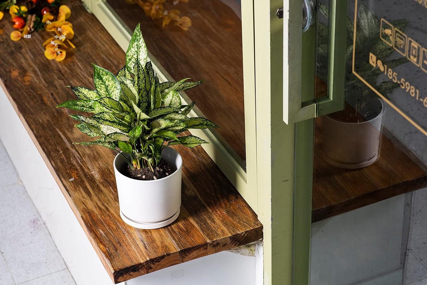 Ekirlin 7 inch Plant Pots,Ceramic Flower Planters Indoor,Modern Succulents Containers with Drain Hole Saucer,Decorate Home,Office & Outdoor (White)