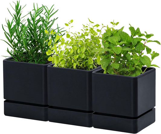 4 Inch Herb Planter Pot, Plastic Planter with Drainage Holes and Saucer, Modern Decorative Gardening Pot for Indoor Plants, Flowers, Herbs, Succulents, Black, Set of 3, 76-Y-B-3