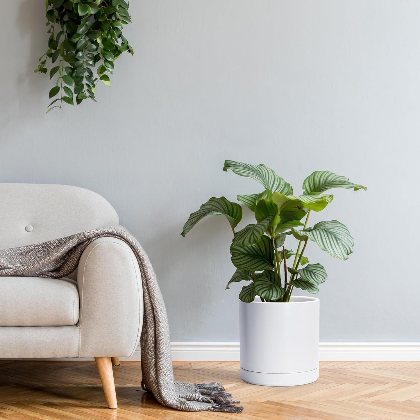 D'vine Dev 10 Inch Ceramic Planter Pot with Drainage Hole and Saucer, Indoor Cylinder Round Planter Pot, White, 94-O-E-1