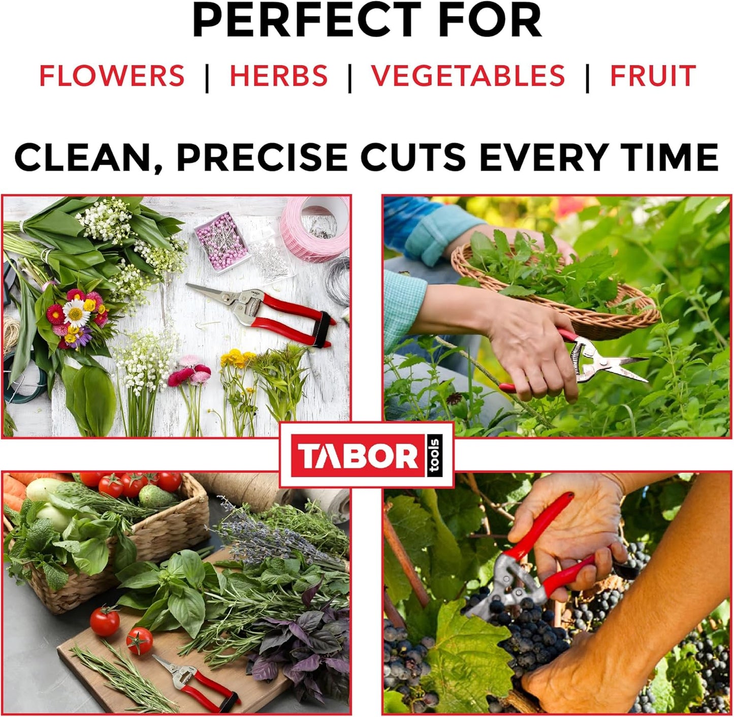 TABOR TOOLS Pruning Shears, Florist Scissors, Multi-Tasking Garden Snips for Arranging Flowers, Trimming Plants and Harvesting Herbs, Fruits or Vegetables. K17A. (Straight, Stainless Steel Blades)