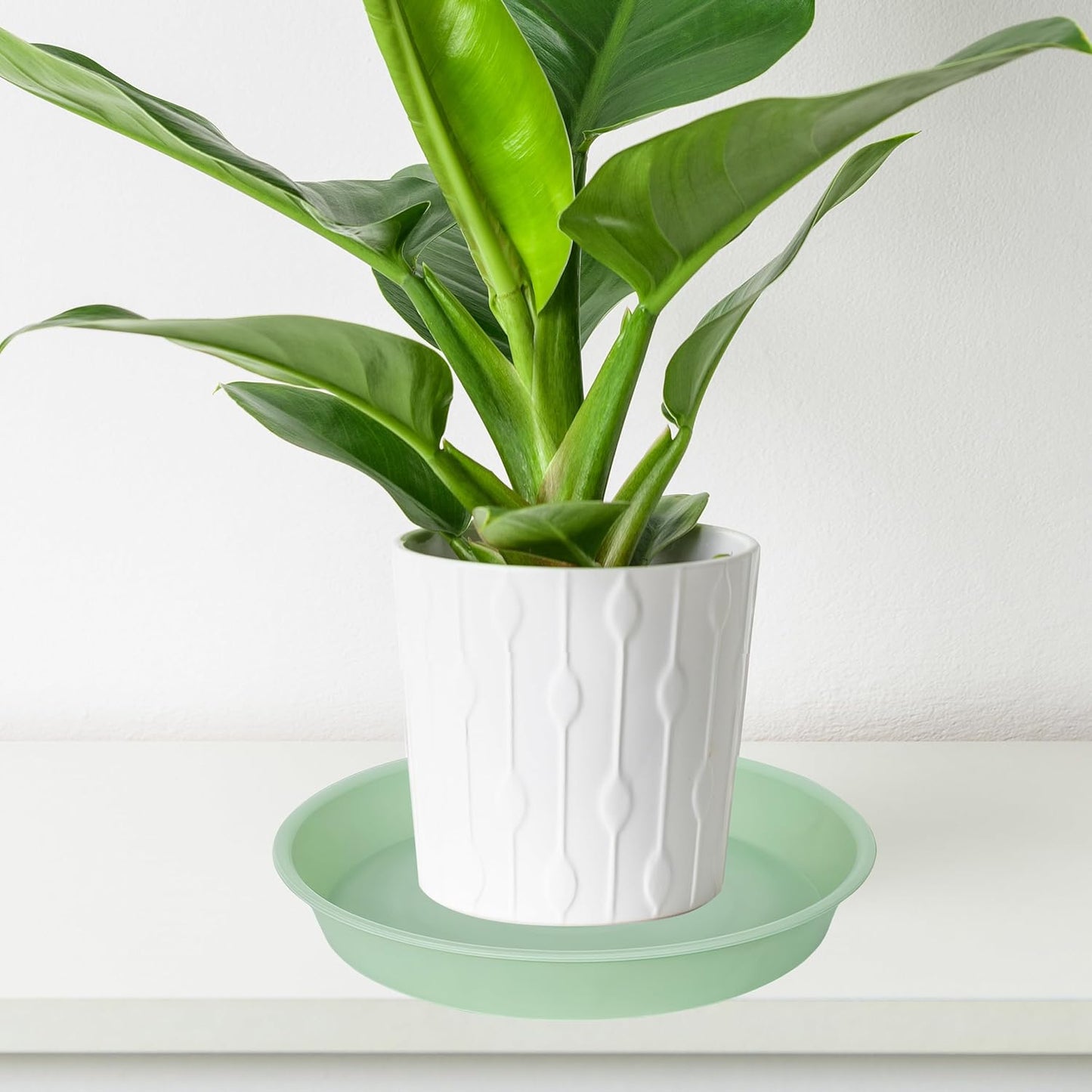 6 Pack of 10 inch Plant Saucer Blue, Heavy Duty Plastic Plant Saucer 10 inch Round, Flower Plant Saucers for Indoors, Plant Trays for Planter 8"/9"/10" (10", Light Green)