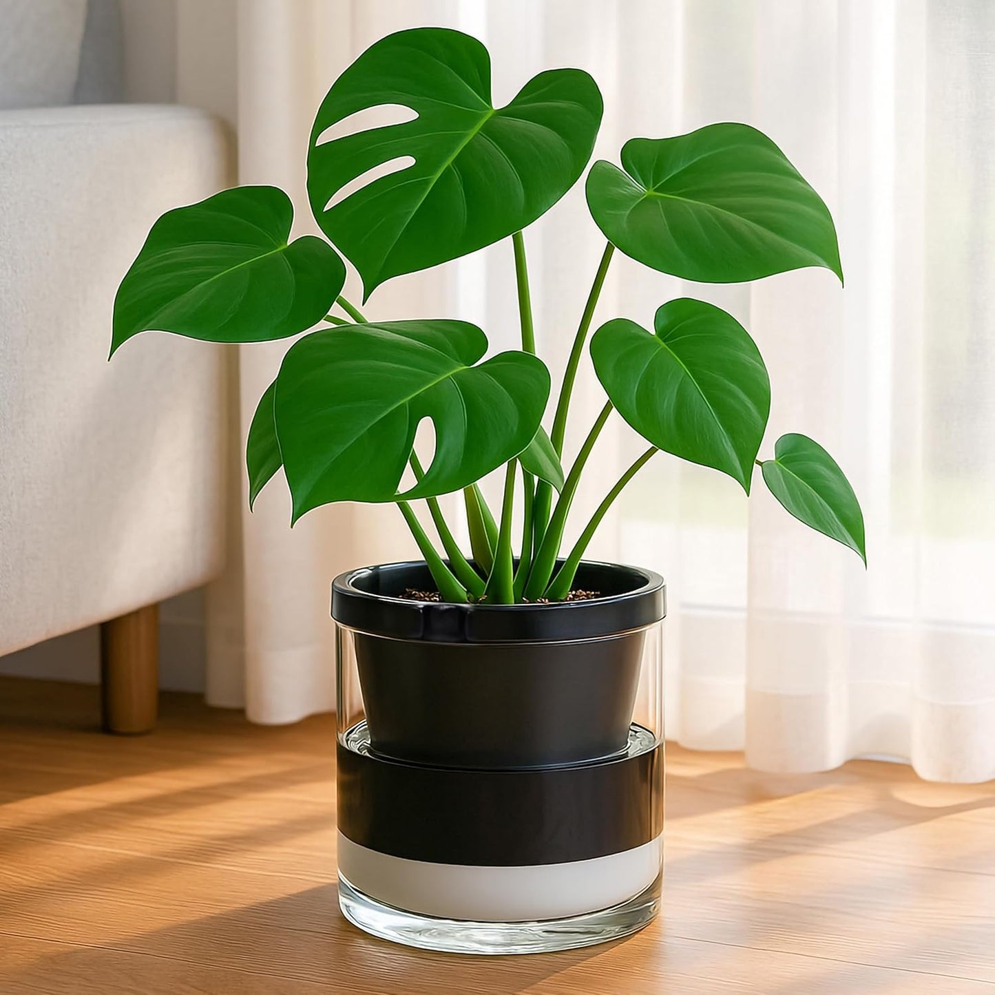 D'vine Dev 8 Inch Design Self Watering Planter for Indoor Plants, Black Terracotta Pot with Cylinder Glass Cup, 37-X-C-3