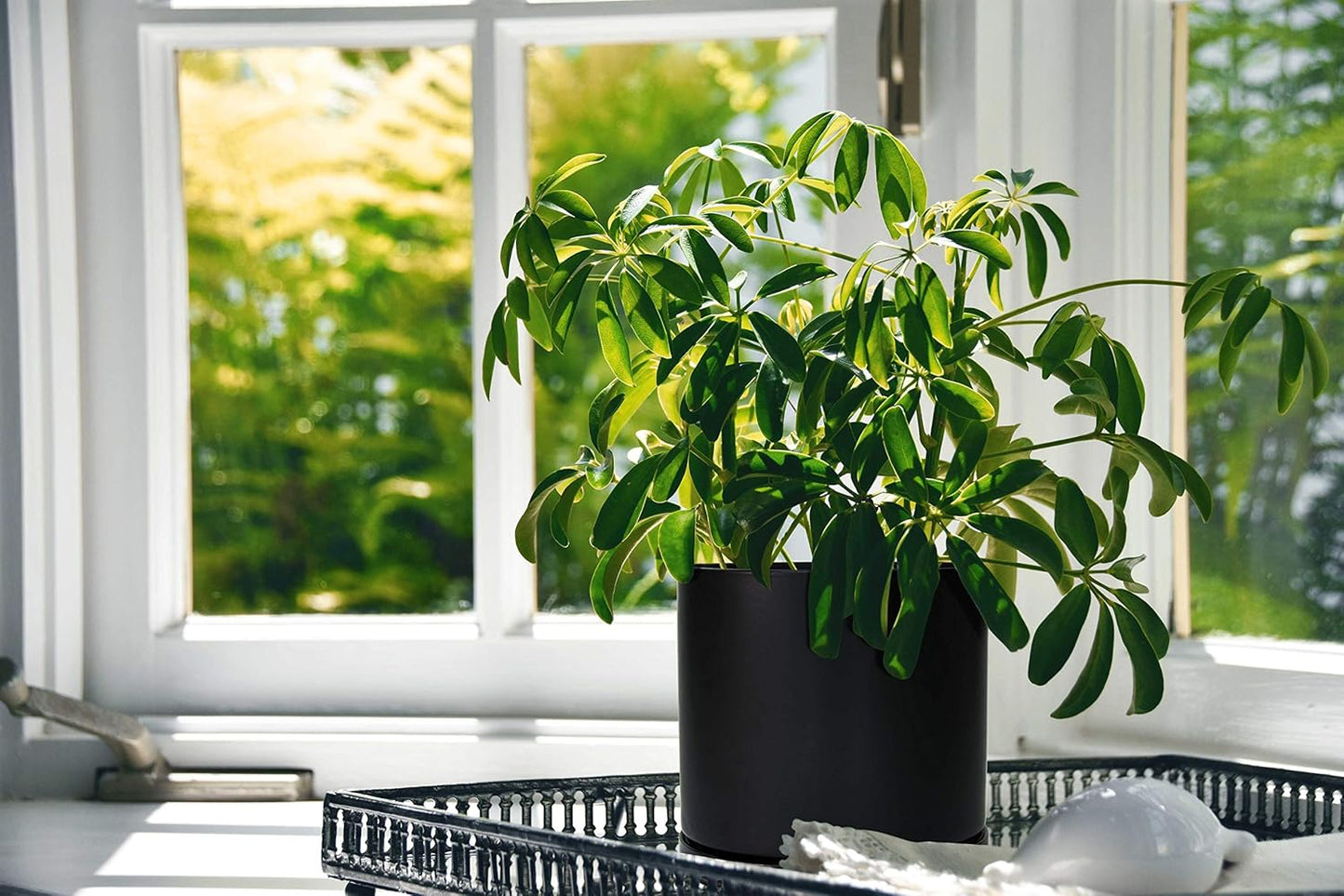 D'vine Dev 4.6 Inch & 6 Inch Ceramic Planter Pots for Plants with Drainage Hole and Saucer, Small Plant Pots Set, Black, 94-G-S-2