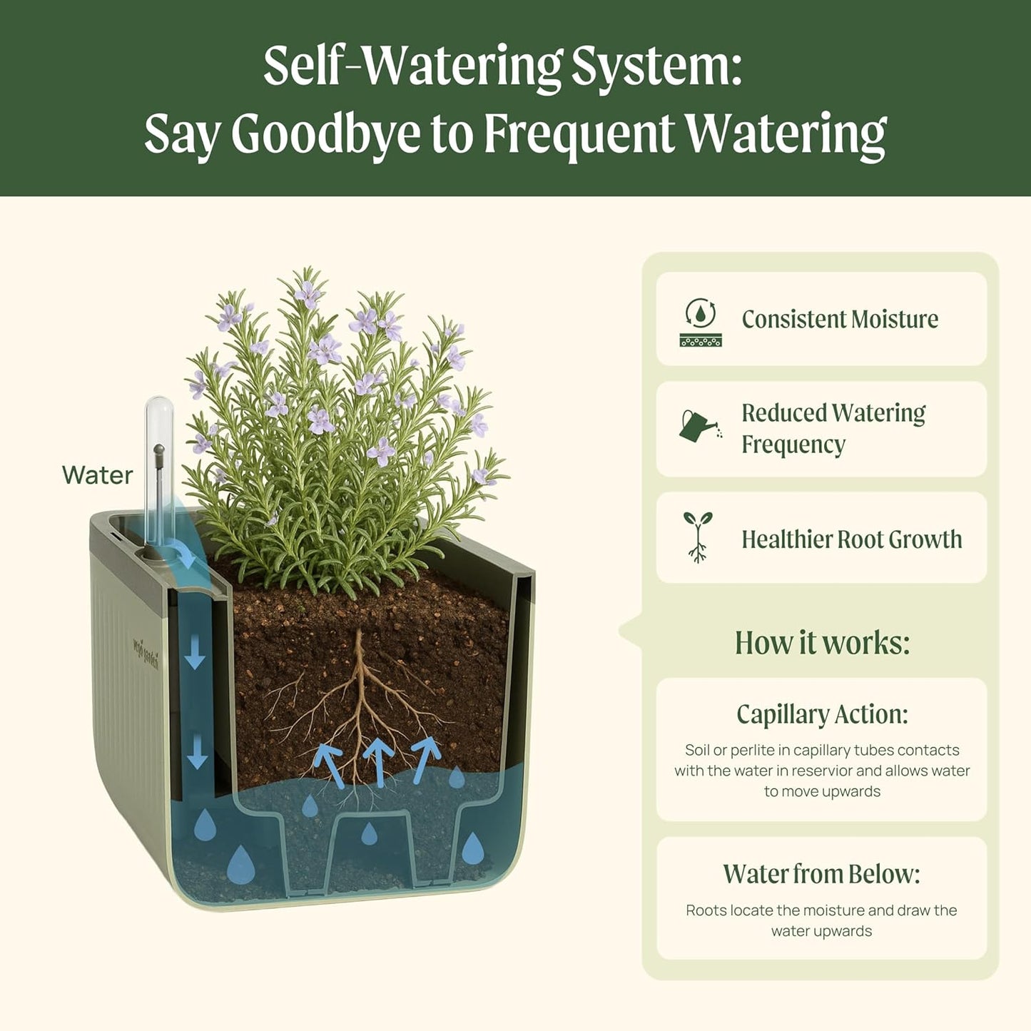 Vego Garden 2 Pack Herb Indoor Planter Box, Self Watering Pots with Trellis for Kitchen Window Sill or Countertop Plants Cage - Cream White