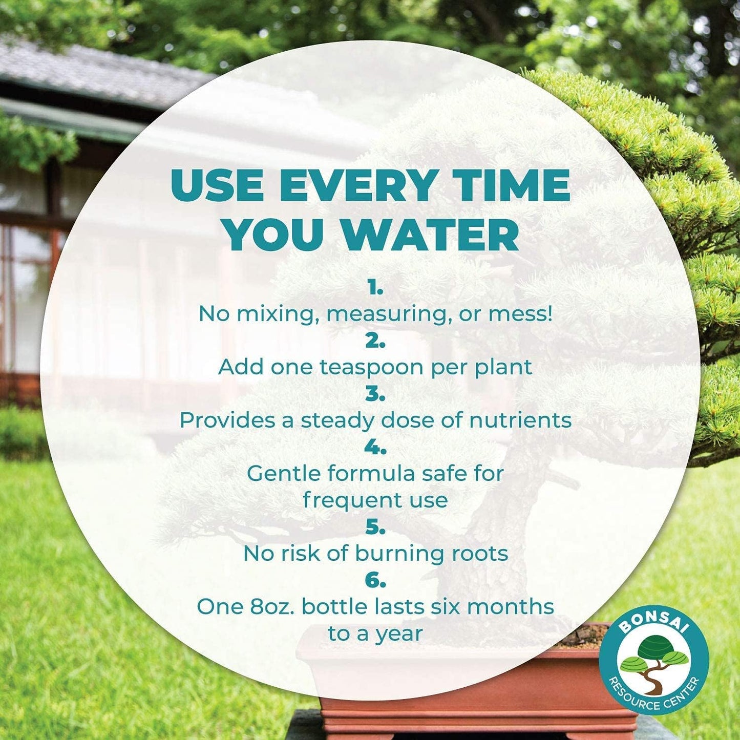 Bonsai Tree Food | Premium, Gentle Liquid Fertilizer for Healthy Growth, Strong Stems and Beautiful Blooms | 3-3-3 Balanced NPK Concentrate | Made in USA | 8 oz (240 ml)