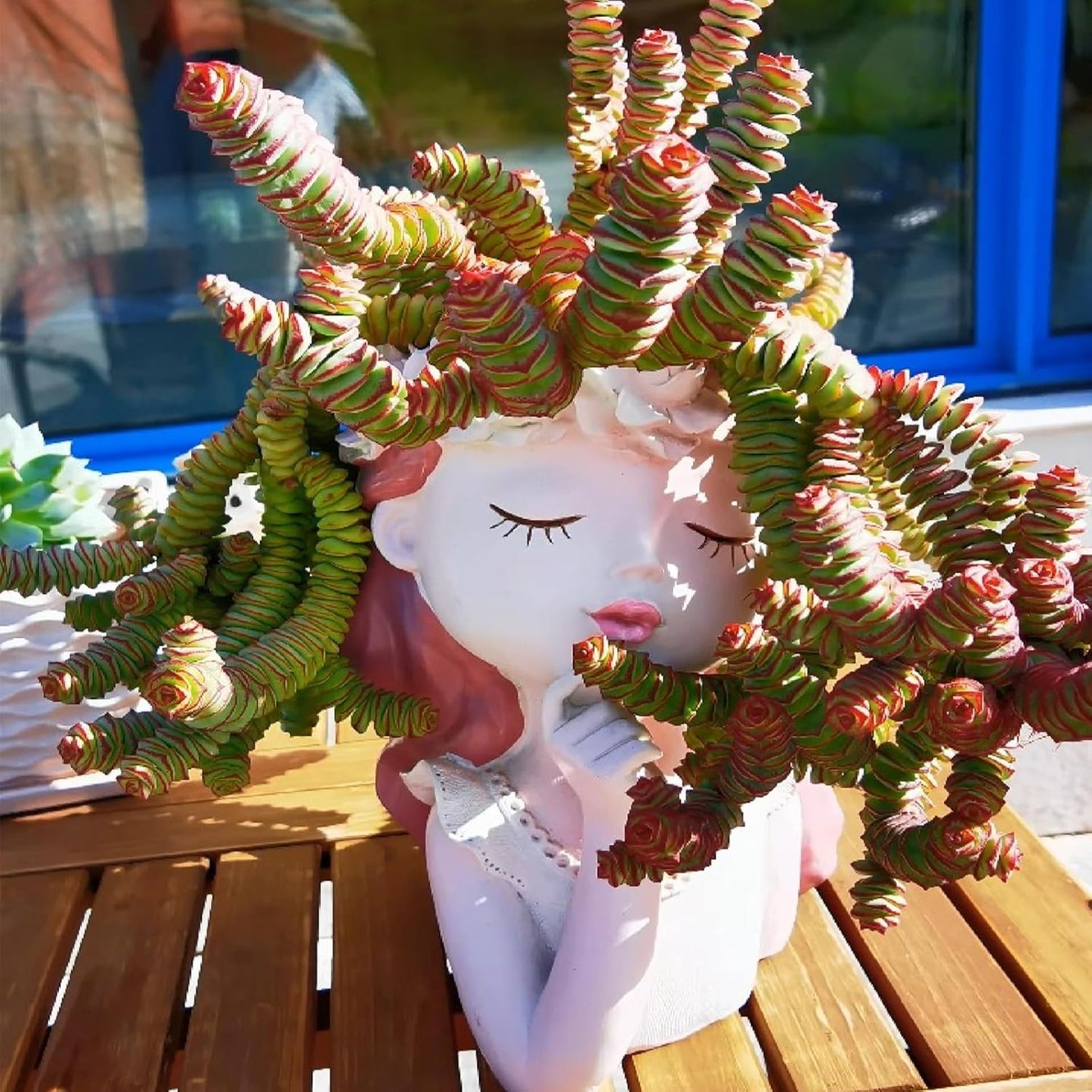 4" String of Buttons in White Stripe Pot, Live Crassula 'Baby's Necklace' Trailing Succulent, Rare House Plant for Home Office Wedding Hanging Decoration, DIY Projects, Party Favor