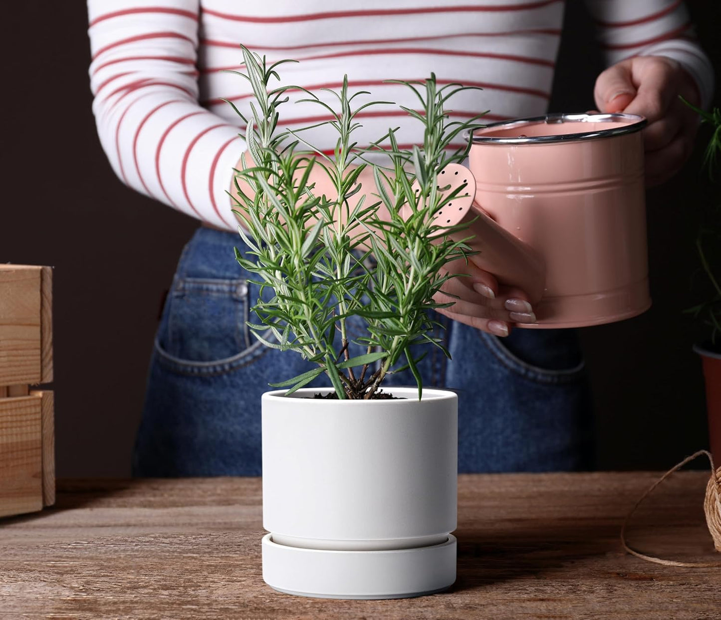 Phoenix Vine 6 Inch Planter Pot with Drainage Hole & Saucer, Deep Water Catch Tray, Straight Cylindrical Round Pot for Plants, Matte White, Pack of 4, 23-B-S-4