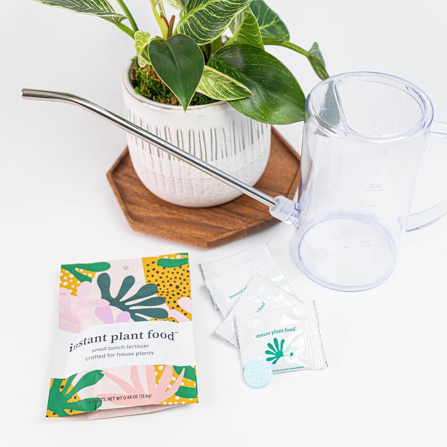 Houseplant Fertilizer & Indoor Plant Food | Self-Dissolving Tablets | Make Feeding Your Plants a Breeze | Instant Plant Food (4 Tablets)