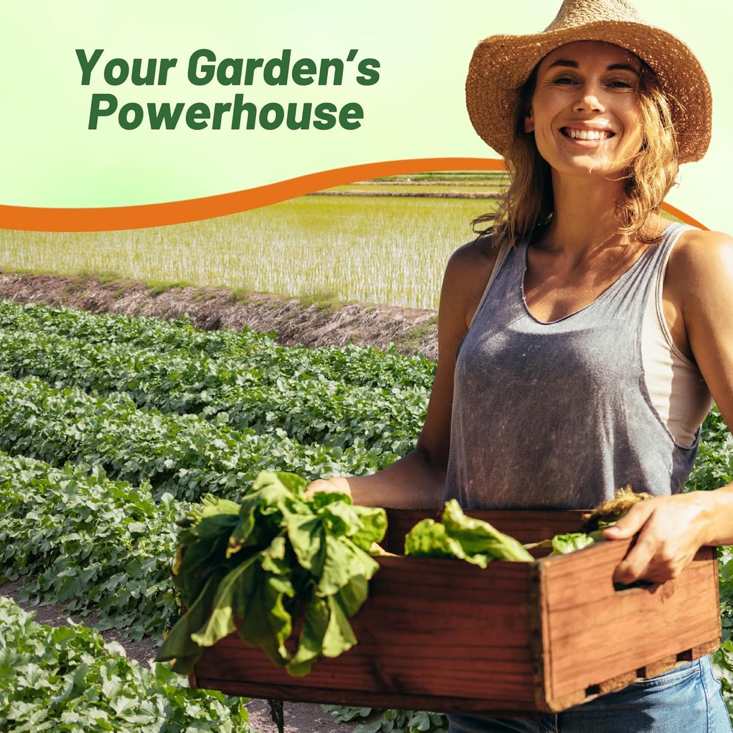 Outsidepride Annual Daikon Radish Seeds - 5 lbs. Chinese, Japanese, & Oriental Radish Seeds for Soil Health, Erosion Control, & Soil Aeration - Ideal for Gardens, Cover Crops, Pastures, & Food Plots