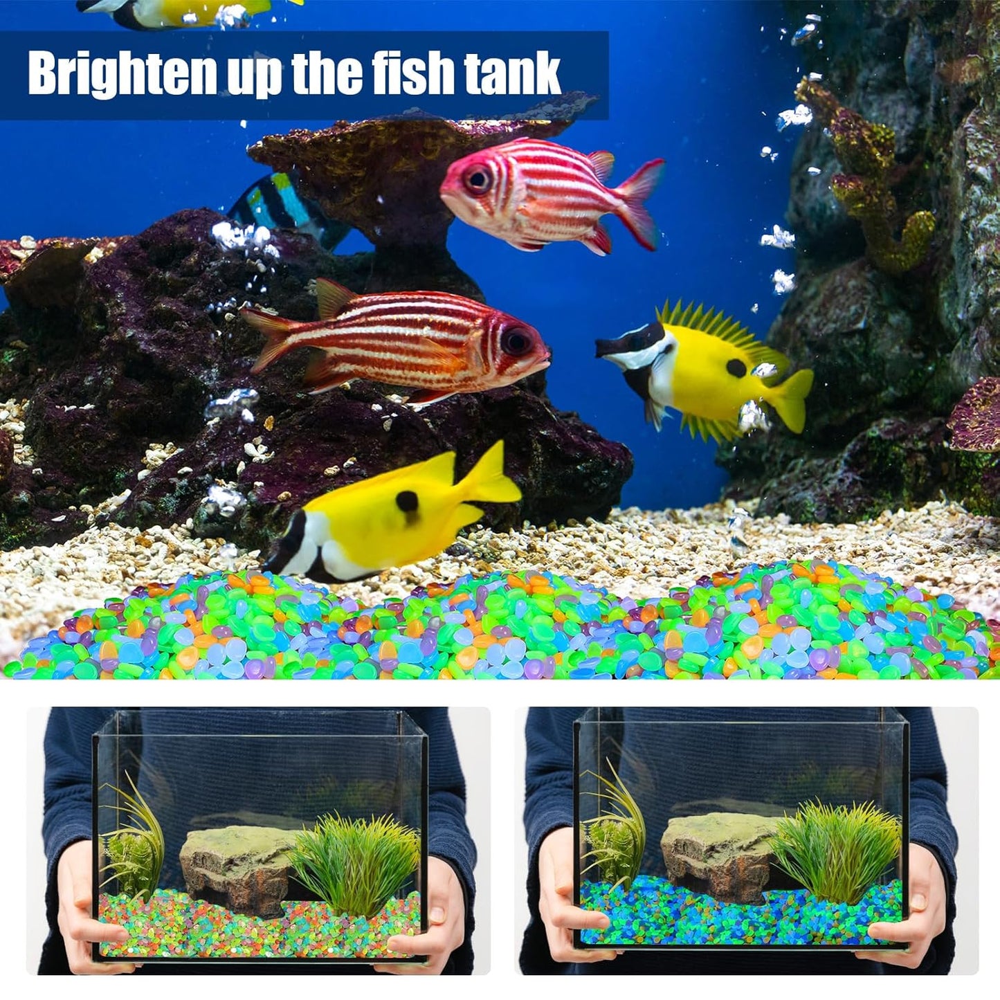 Sasylvia 12000 Pcs Glow in The Dark Rocks Glow in The Dark Stones Glowing Rocks for Garden Outdoor Glowing Fish Tank Pebbles Luminous Stone for Outdoor Yard Patio Aquarium Landscaping (Colorful)