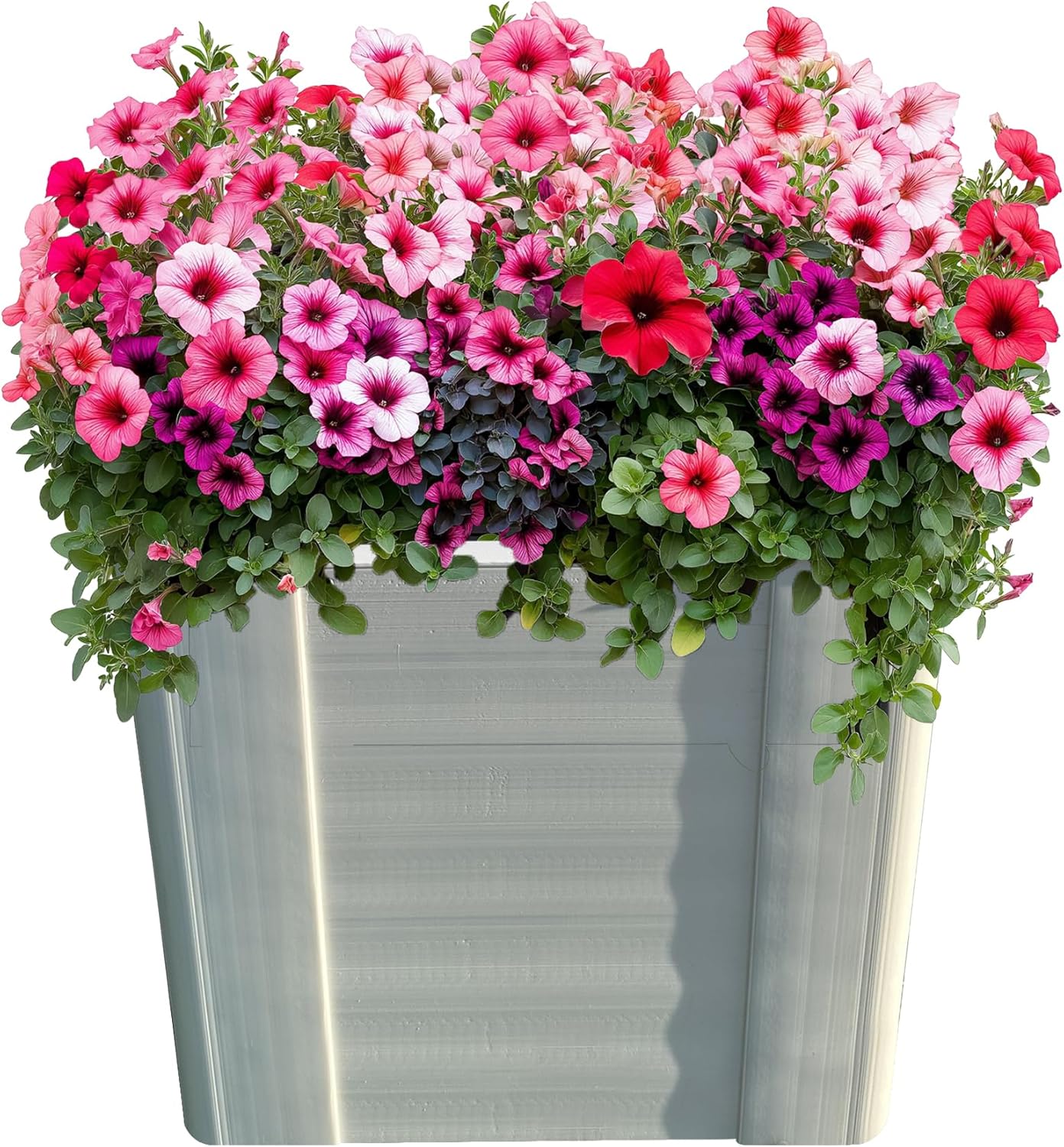 Raised Garden Bed - 1x1 ft Planter Box - White HDPE - No Tools Needed - DIY Kit for Urban Gardening, Flowers, Herbs & Vegetables - Made in The USA - 2 Pack