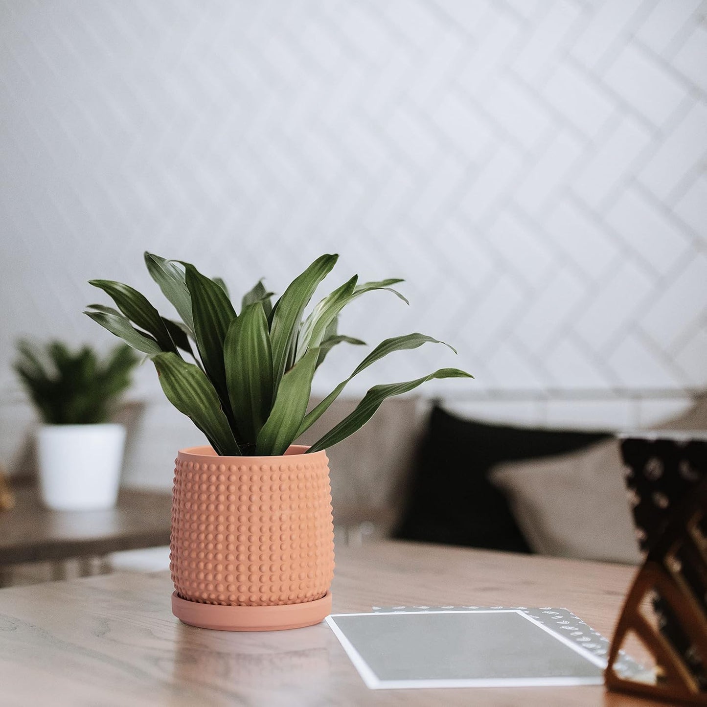 D'vine Dev 6 Inch 4 Inch Terracotta Indoor Planter Pots with Drainage Hole and Saucer, Beaded Design Flower Pots, Set of 2, Terracotta Color, 27-D-U-7