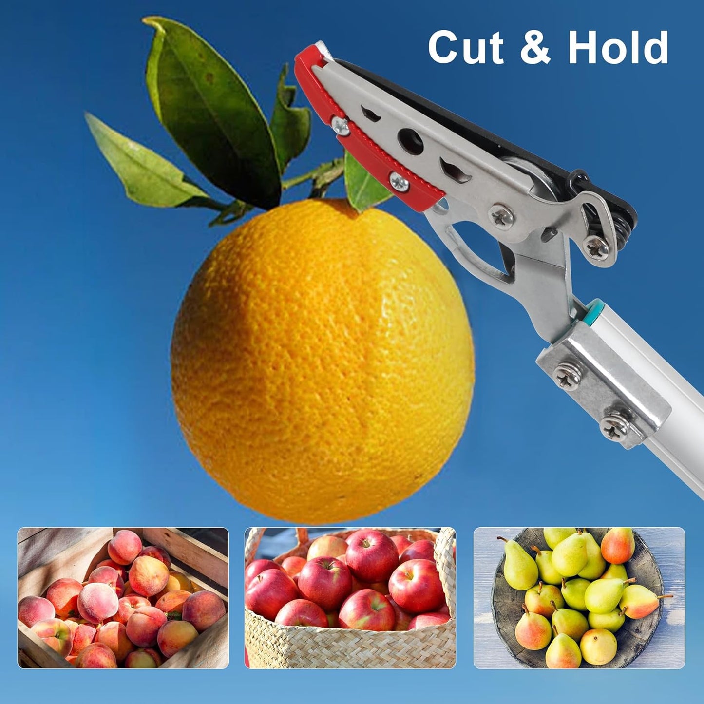 GARTOL Cut & Hold Pole Pruner, 4.2 FT Lightweight Fruit Picker with 180° Rotating Handle, SK5 Steel Blade Cuts up to 1/2 Inch, Long Reach Garden Tree Trimmer & Branch Cutter for Shrubs, Bushes