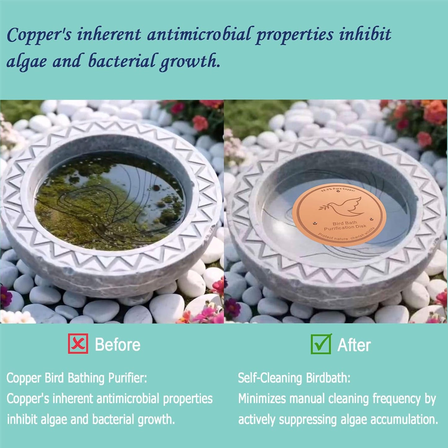 1Pack Bird Bath Copper Purification Disk | 0.6mm Reinforced 99.9% Pure Copper | Universal Fit for Outdoor Birdbaths(Birdbath Copper 1 Pack)