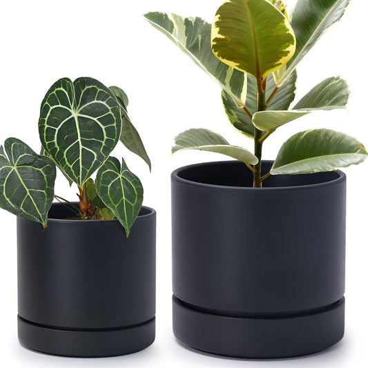 Phoenix Vine 6 Inch and 8 Inch Planter Pot with Drainage Hole & Deep Water Catch Tray Saucer, Straight Cylindrical Round Pot for Plants, Matte Black, 23-A-2-Y