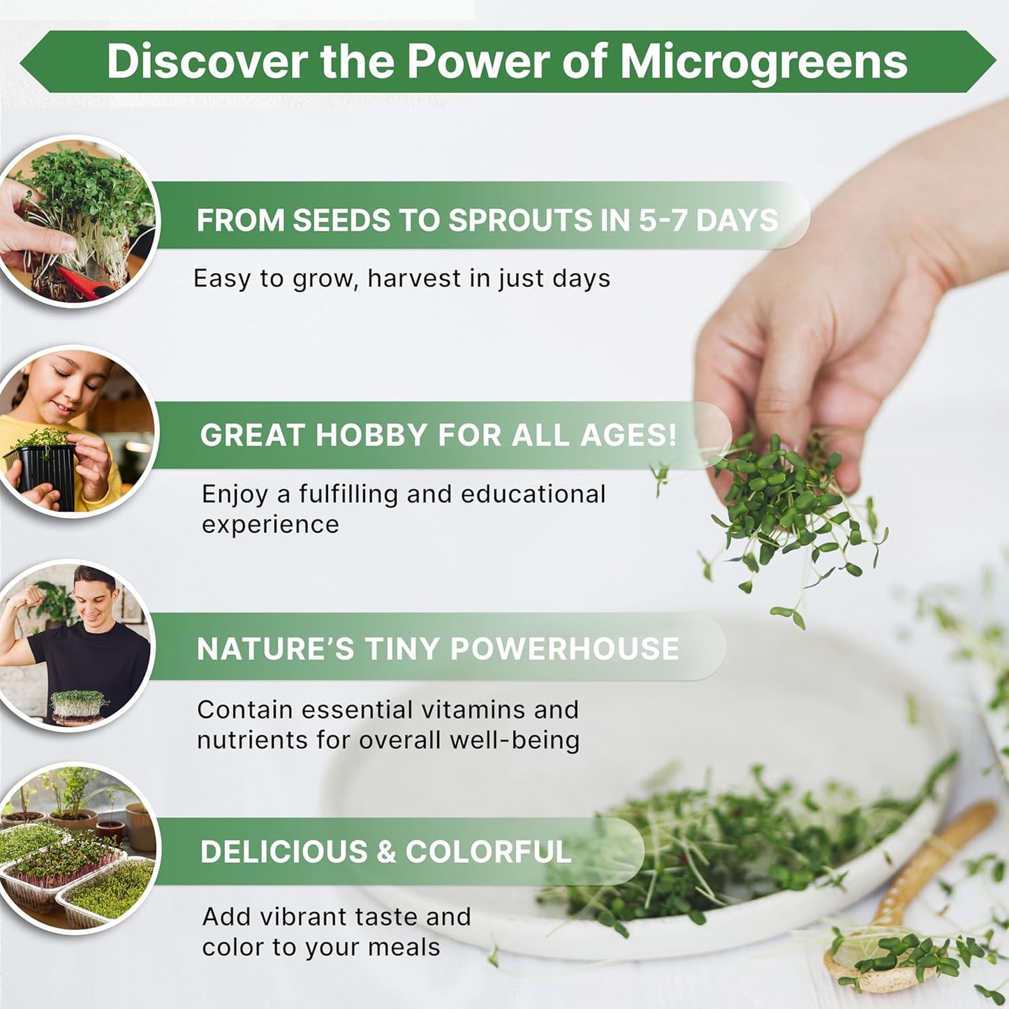 Organo Republic Arugula Sprouting & Microgreens Seeds - Non-GMO, Heirloom Sprout Seeds Kit, 1lb Resealable Bag for & Growing Microgreens in Soil, Coconut Coir, Aerogarden & Hydroponic System.